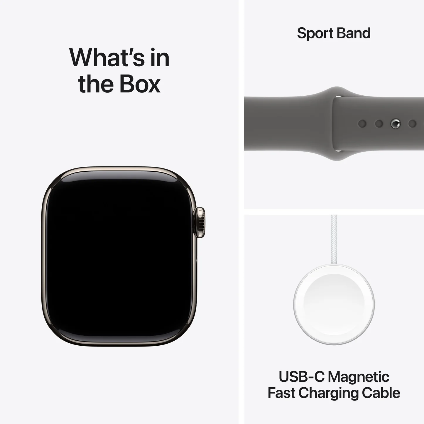 Apple_Watch_Series_10_42mm_LTE_Natural_Titanium_Sport_Band_Stone_Grey_PDP_Image_Position_9__en-IN_c5ef0603-6a3c-4fec-ae8e-4b4fbf34a6fa.webp